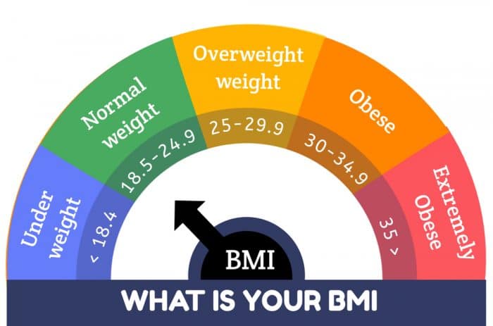 Chart of various body mass index measurements